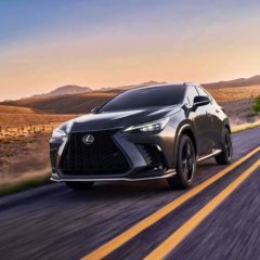 Lexus NX и IS 500 Performance Launch Edition